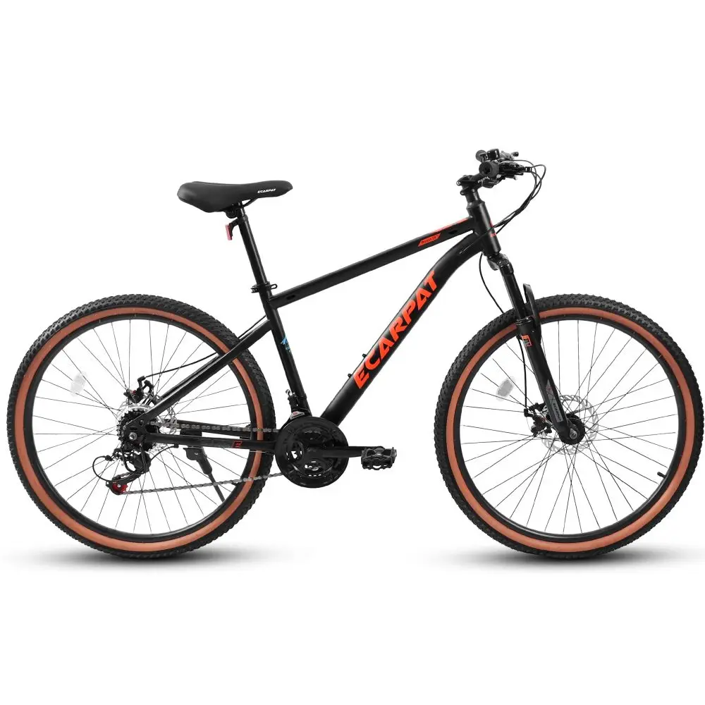 A24301 Bicicletta da Montagna  - Carbon Bike Frame recensione e prezzo