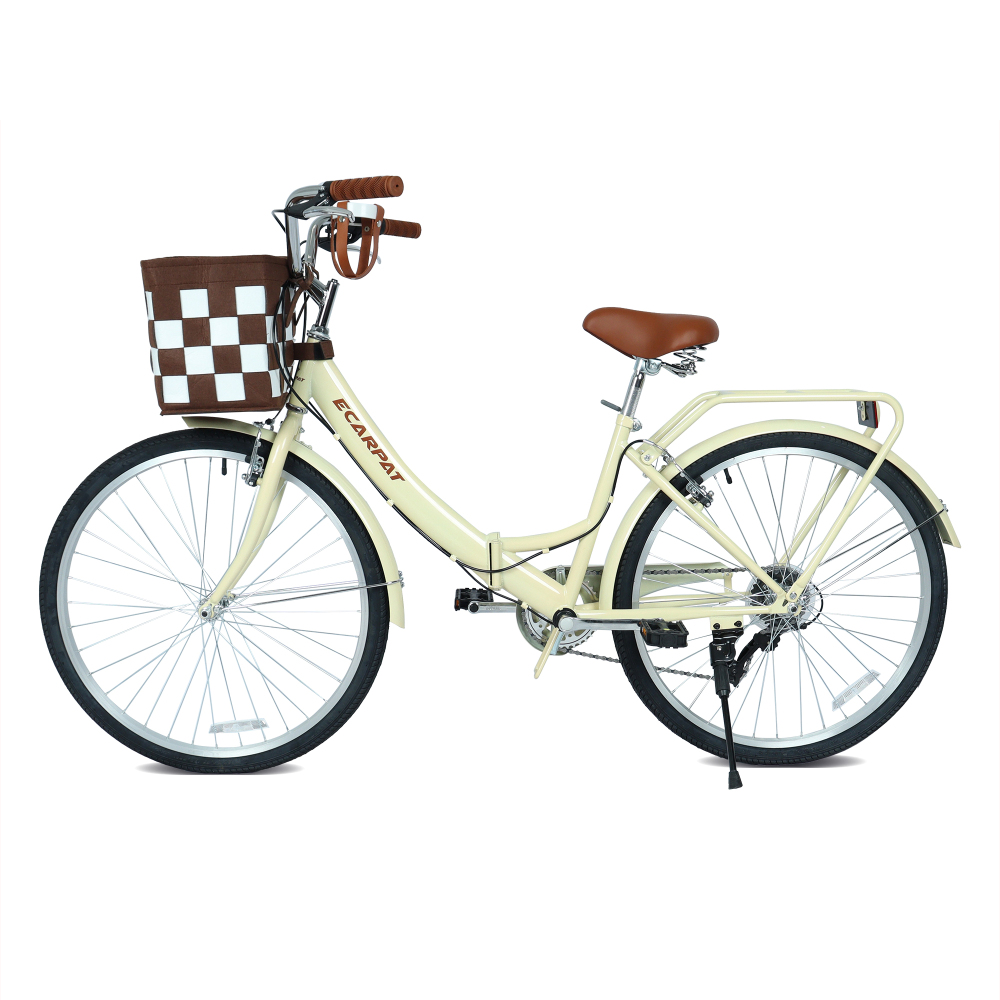 Bicicletta Pieghevole da Città - Carbon Bike Frame recensione e prezzo