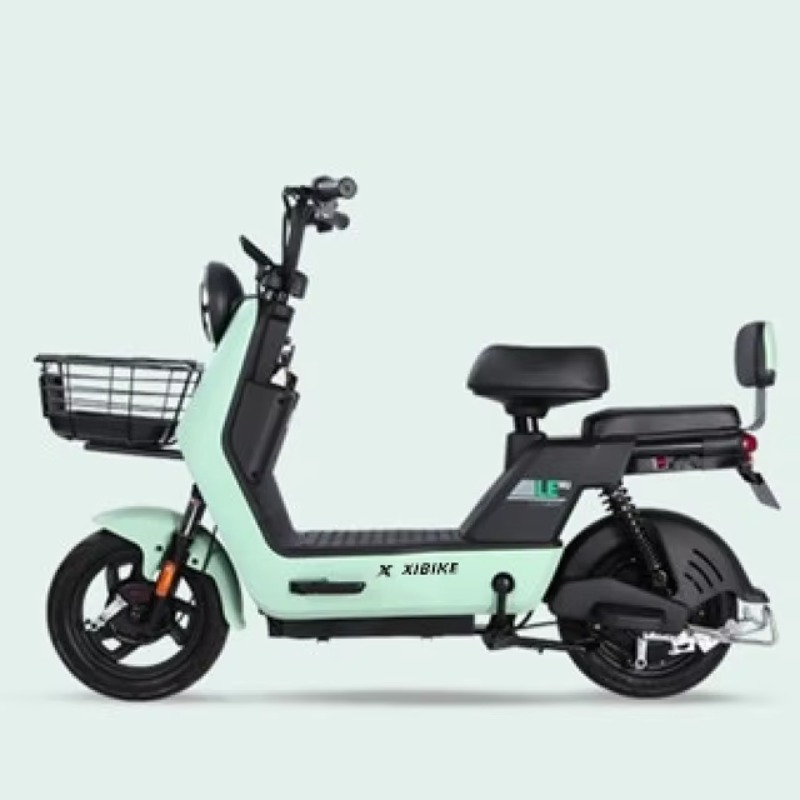 Bicicletta Elettrica YTYIN di  - Carbon Bike Frame recensione e prezzo
