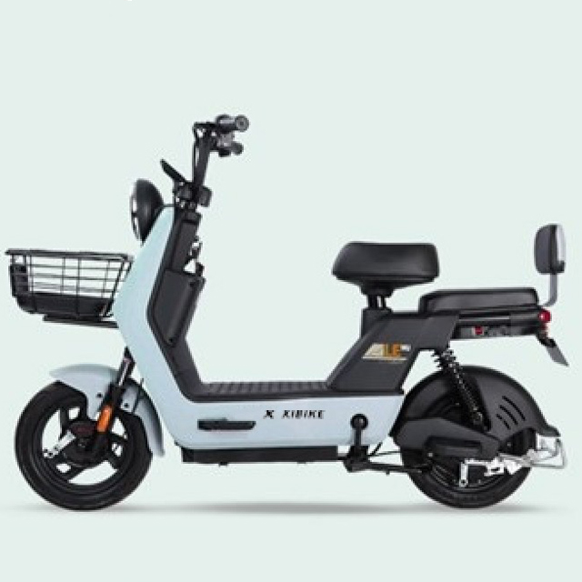 Bicicletta Elettrica YTYIN di  - Carbon Bike Frame recensione e prezzo