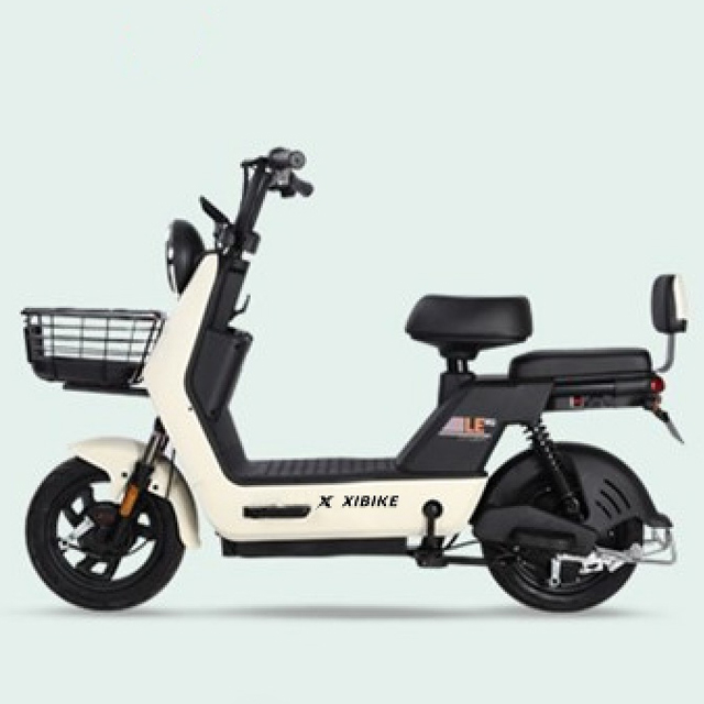 Bicicletta Elettrica YTYIN di  - Carbon Bike Frame recensione e prezzo